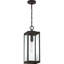 Mini-luminaire suspendu 1 lumière Wiebe-63380493