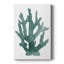Coral Souvenirs I - Gallery Cavas-628123739