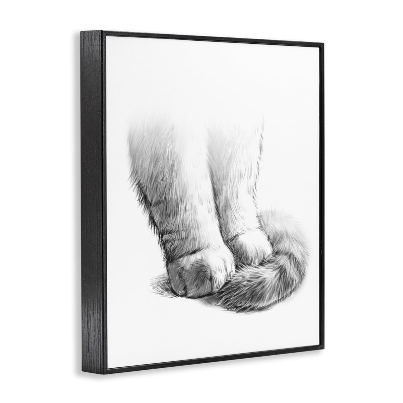 «Fluffy Cat Paws Tail» par Ziwei Li, H 16 po x l 20 po, Giclée encadrée noir minuit