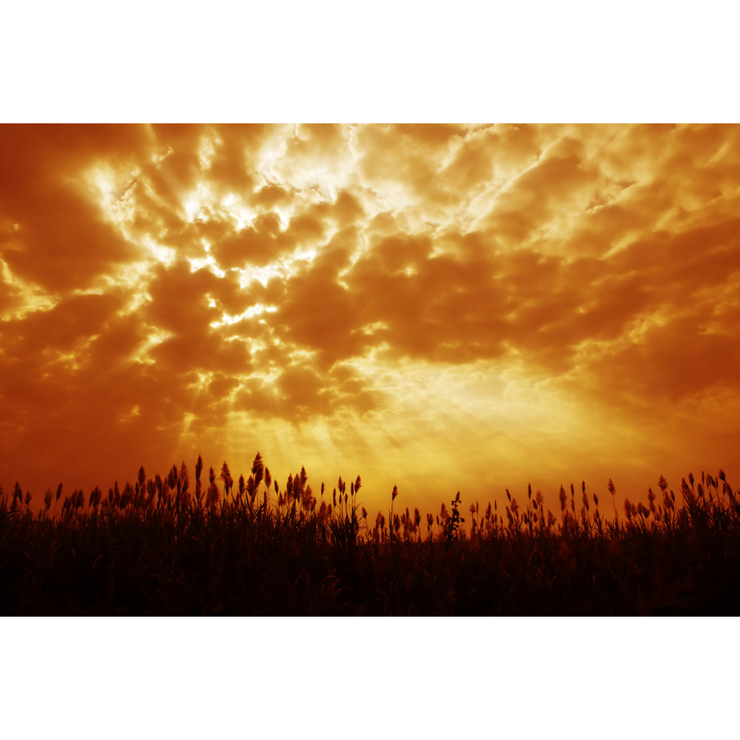 Orange Tinted Sky von TommyIX - Kunstdrucke auf Leinwand