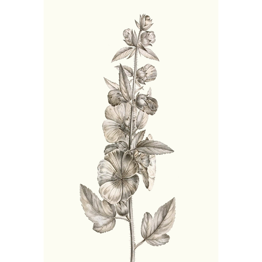 Neutral Botanical Study V - Wrapped Canvas Art Prints
