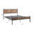 Iron Platform Bed-69490258-69490259