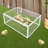 Iron Cage With One-Way Entry For Pigeon