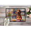 Paillasson Decoring Redbone Coonhound-112770014