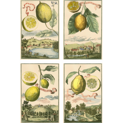 Miniature Lemons - Wrapped Canvas Painting