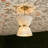 2 - Light Flush Mount Ceiling Light