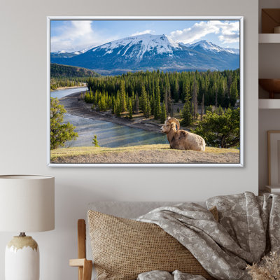 Faune sauvage, paysage de l'Alaska II
