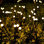 White Low Voltage Solar Powered Integrated LED Pathway Light
