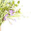 Tiges en fausse soie