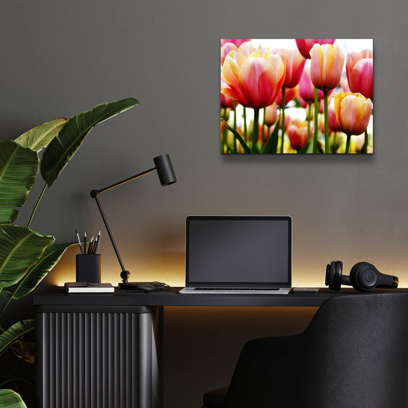 " Tulips " Print, 12" H x 16" W x 0.13" D