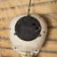 Anaum Decorative Accent