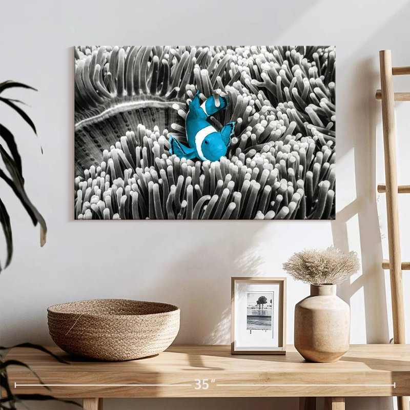 Crowle Clownfish Pop, 16" H x 24" W