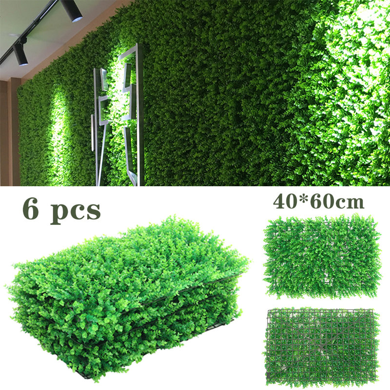60cm Plant