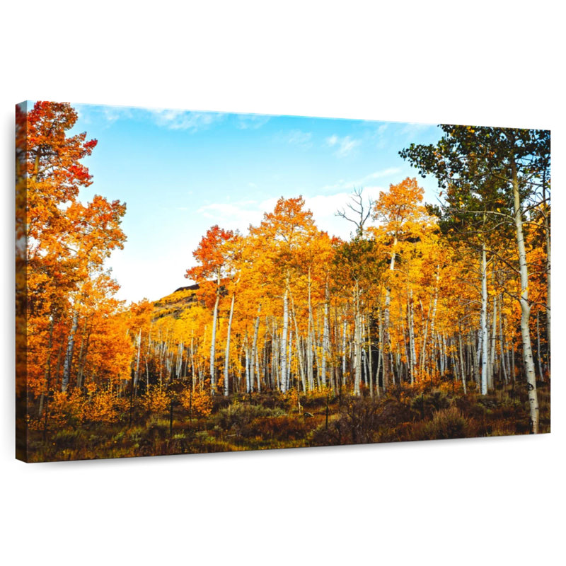 Alvord Birch Tree Forest, 32" H x 48" W