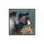 «Black Bear» par Nicole DeCamp, reproduction d'art-953988284-953988286-953988258