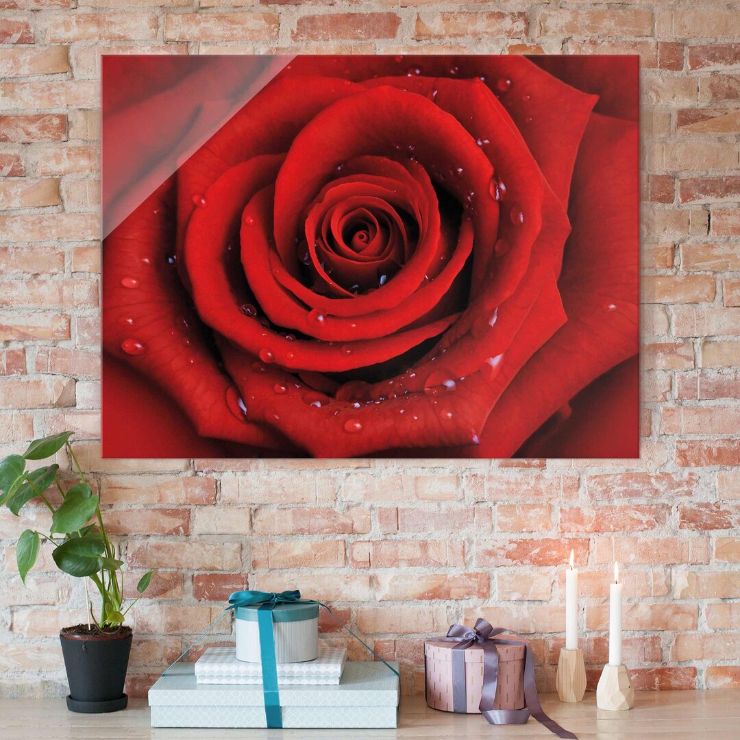 Glasbild Rote Rose mit Wassertropfen