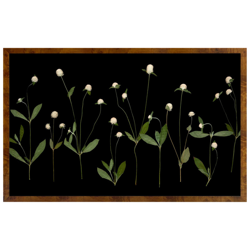 Plants & Flowers Print
