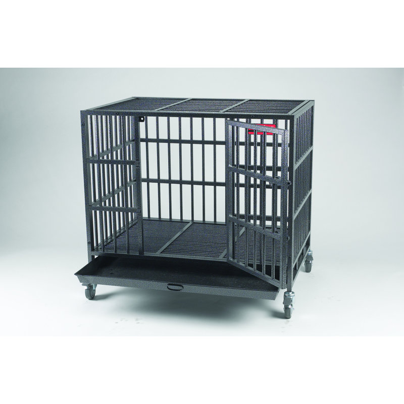 Metal Pet Crate with 1 Door, Medium (33.75" H x 25.13" W x 37" D)
