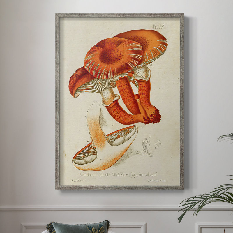 Reproduction encadrée Mushroom Variétés VII - bois massif, H 11 po x l 9 po