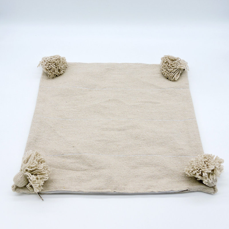 Square Indoor/Outdoor Pillow Cover, Beige/Silver