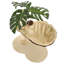 Lilyanna 50cm H Cat Tree