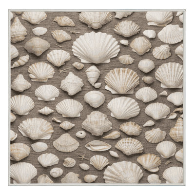 Washable Shell Layer Study Coastal Area Rug