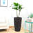 Brown Of 2 Large 22 - Inch Faux Planters With Water Level Monitor And Automatic Watering Feature For Indoor Outdoor Spaces Such As Porch Auto Use In Patio Garden-1966618646