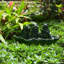 Figurines de grenouille en céramique Licol Birding
