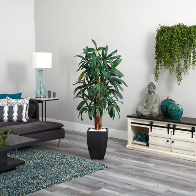 65 " H Faux Palm Tree in Stone Planter