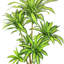 Dracaena artificiel en pot 78 po