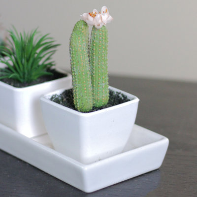 4.25" Mini Faux Columnar Cactus with Flower In White Vase