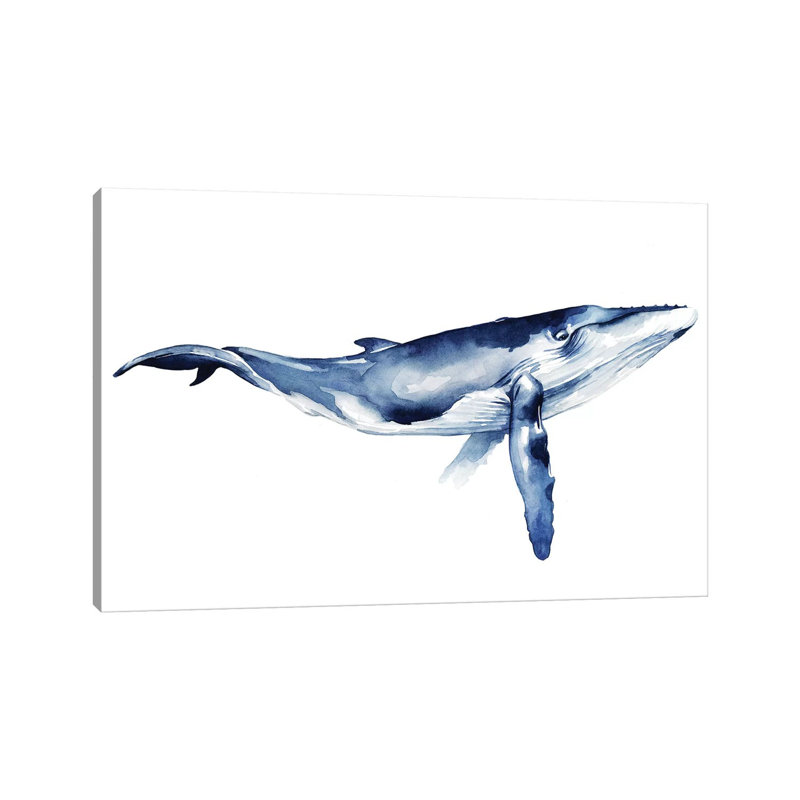 Whale Portrait I by Grace Popp - Wrapped Canvas Painting, 20.32 cm H x 30.48 cm W