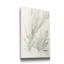 « Sauge Green algue IV », reproduction d’art sur toile tendue-160765382