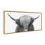 «Hey Dude Highland Cow» par The Creative Bunch Studio, reproduction d'art sur toile encadrée
