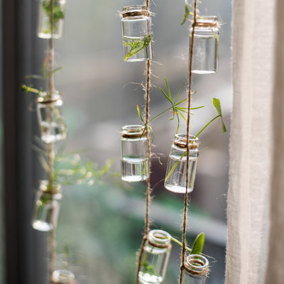 Frazee Glass Hanging Planter