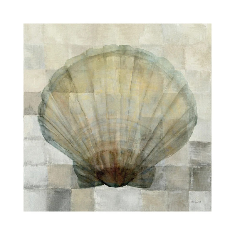 Scallop Shell by Stellar Design Studio - Gallery-Wrapped Canvas Giclée on Canvas, 30.48 cm H x 30.48 cm W, Canvas