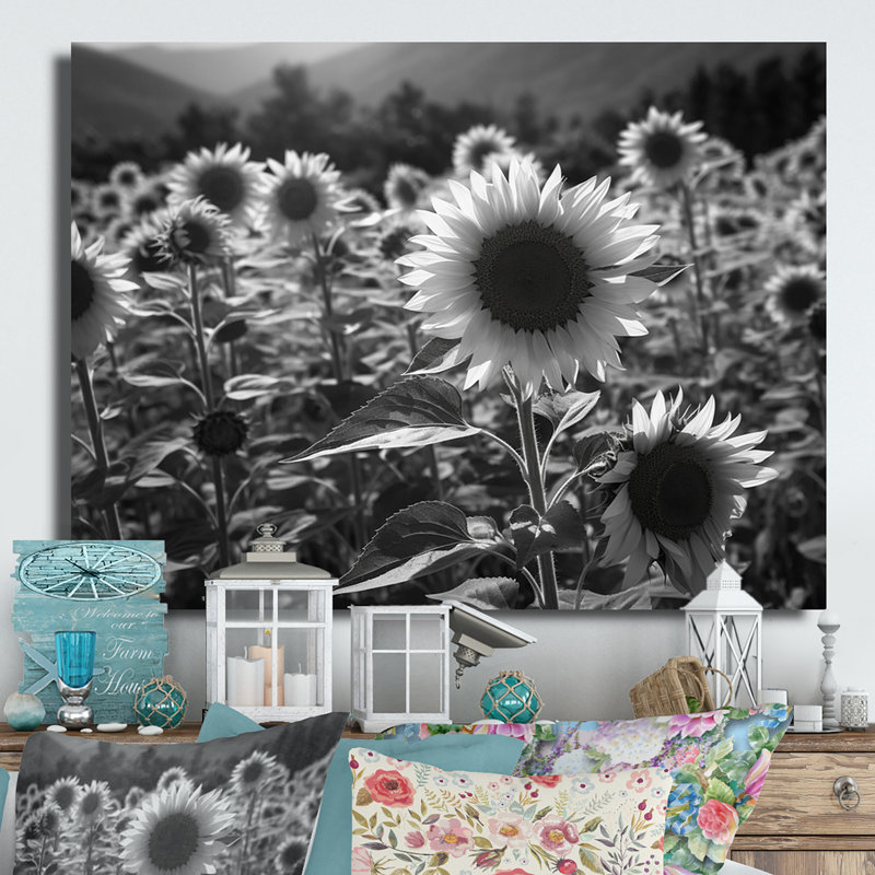 Tournesol noir et blanc classé II - impression sans cadre sur métal, H 12 po x l 20 po x P 1 po