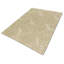 Paisley Area Rug in Beige/Neutral-45410704