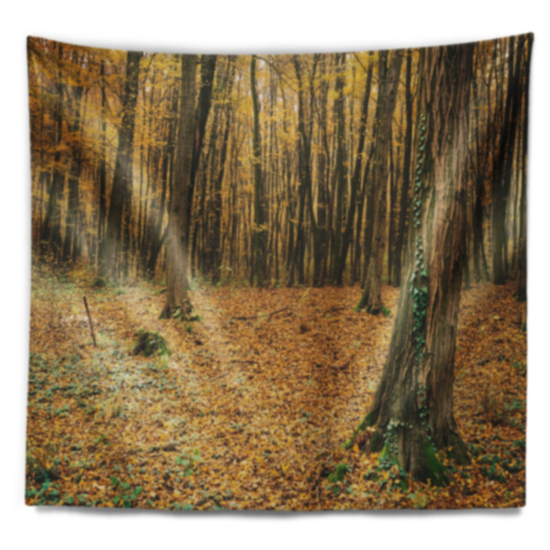 Polyester Tapestry, 32" H x 39" W