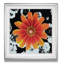 «Black and Bloom II», reproduction de peinture à l'huile-32971572-40500951