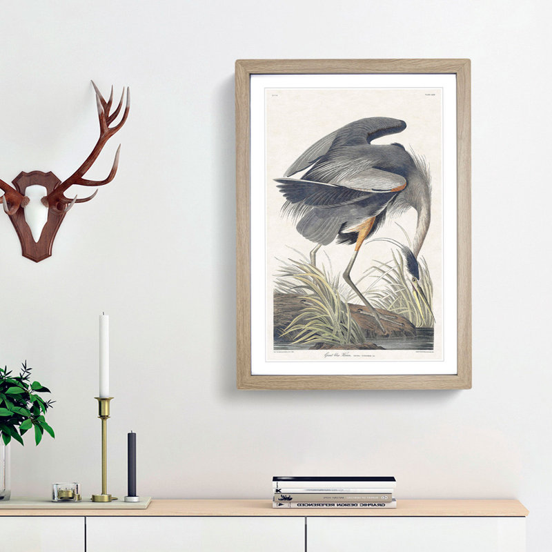 Great Blue Heron by John Audubon - Framed Print, 48cm H x 36cm W x 2cm D, Oak Framed