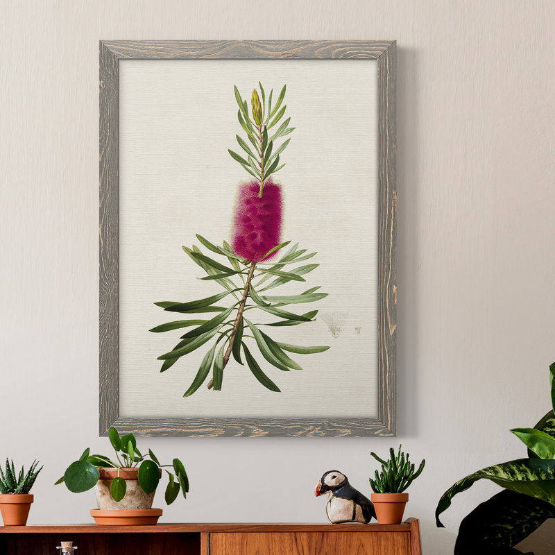 «Pretty Pink Botanicals VII», reproduction d'art sur toile, H 17 po x l 20 po x P 1 po, Encadré gris