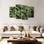 Harnek plante nerveuse verte-108860393