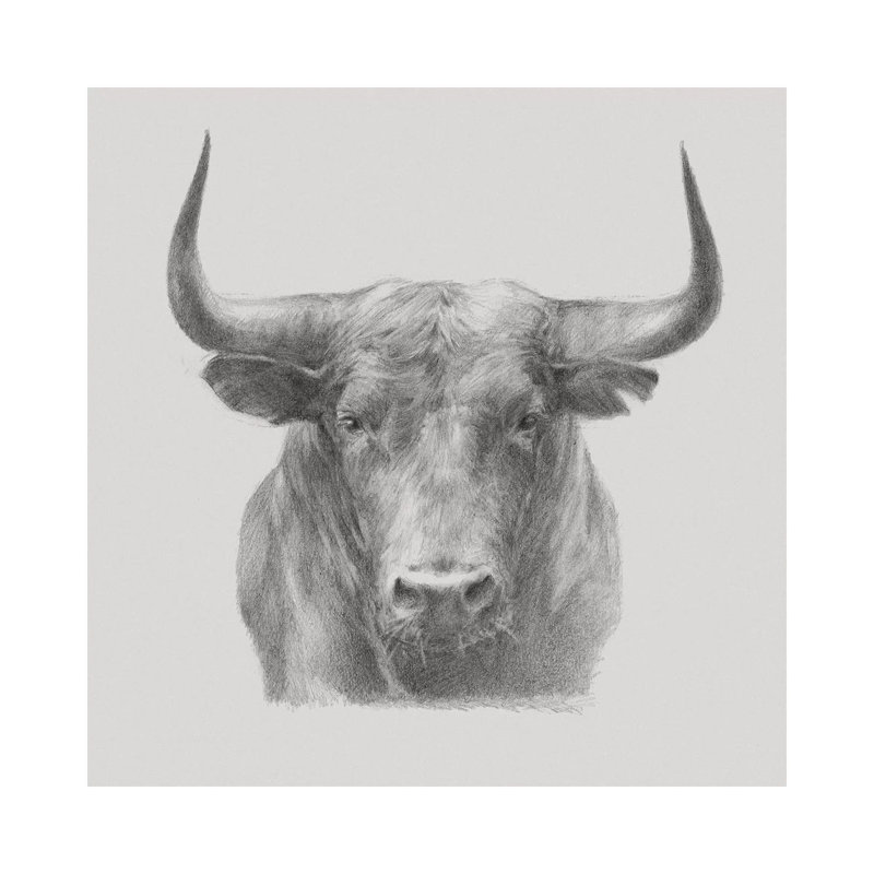«Black Bull» par Ethan Harper - dessin, reproduction, H 37 po x l 37 po x P 1,5 po, Toile tendue, Pas de tapis
