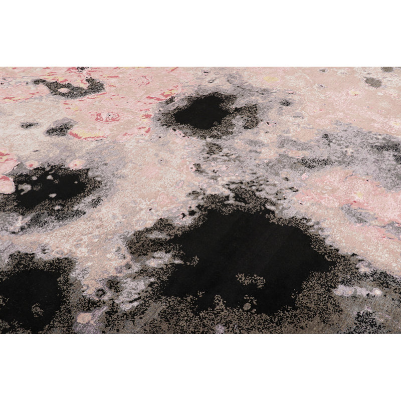 One-of-a-Kind No Area Rug