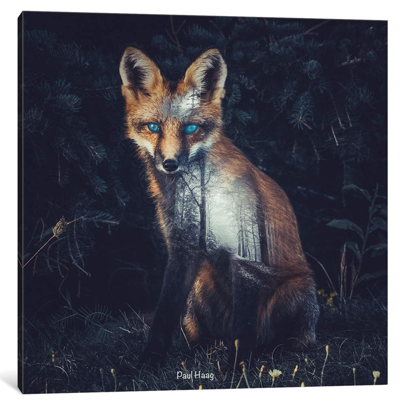 Fox II 1 Piece Wrapped Canvas Wall Art, 93.98 cm H x 93.98 cm W x 1.91 cm D