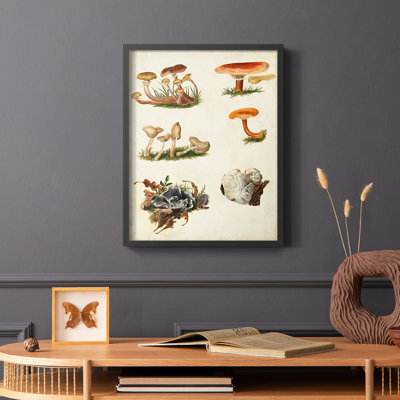 Reproduction encadrée «Mushroom Species X» - bois massif