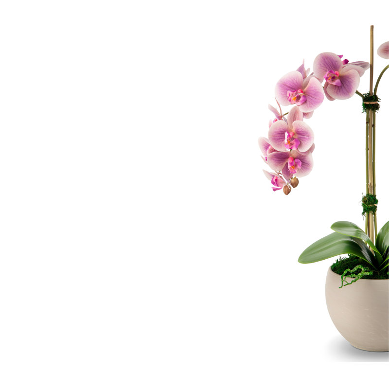 Arrangement Cassandra RealTouch Orchid, Pervenche