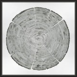 Time Lines 3 Print