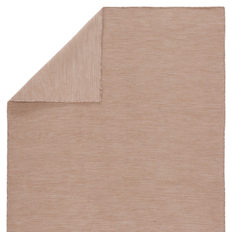 Tapis intérieur / extérieur brun clair tissé à la main Burkett, Rectangle 4 pi x 6 pi